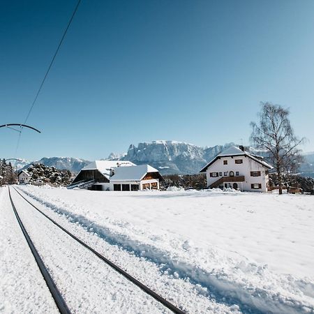 Alpin Farm Birke - Oberweidacherhof Collalbo Εξωτερικό φωτογραφία