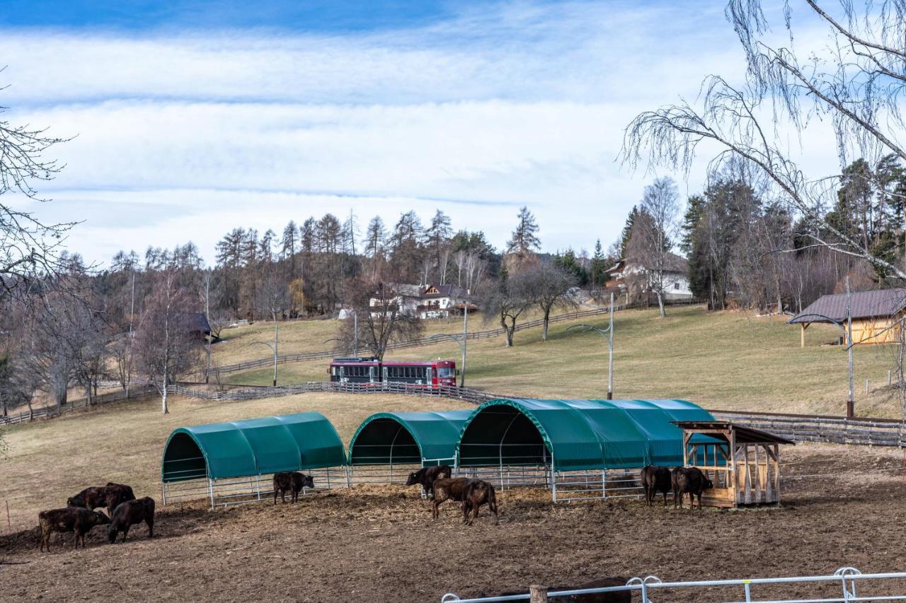 Alpin Farm Birke - Oberweidacherhof Collalbo Εξωτερικό φωτογραφία