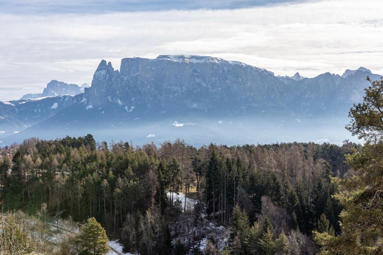 Alpin Farm Birke - Oberweidacherhof Collalbo Εξωτερικό φωτογραφία