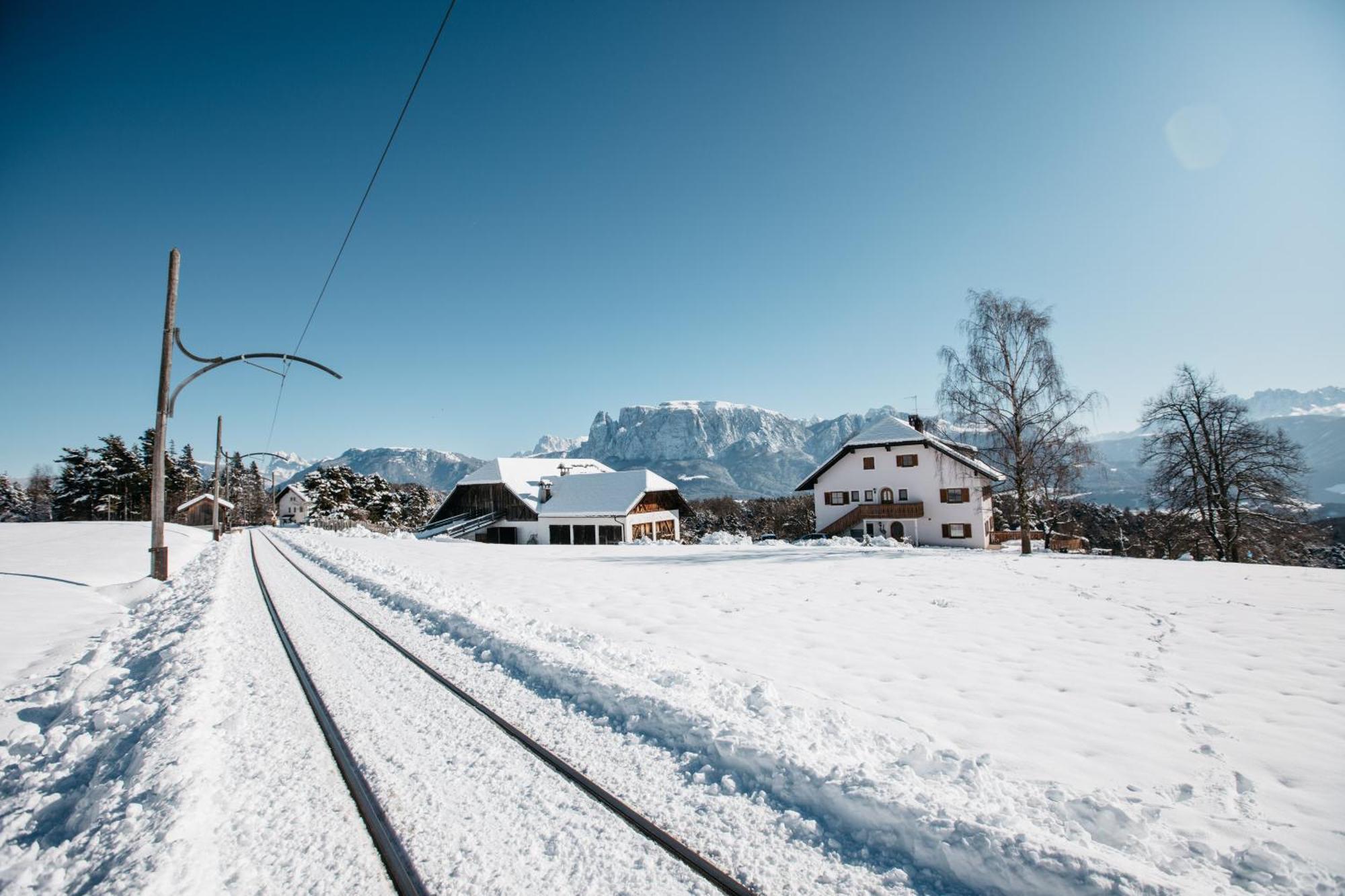 Alpin Farm Birke - Oberweidacherhof Collalbo Εξωτερικό φωτογραφία